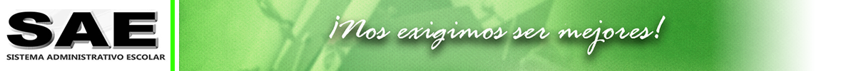 Imagen responsiva